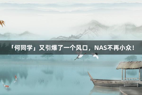 「何同学」又引爆了一个风口，NAS不再小众！