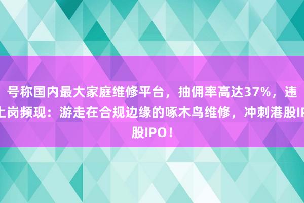 号称国内最大家庭维修平台，抽佣率高达37%，违规上岗频现：游走在合规边缘的啄木鸟维修，冲刺港股IPO！