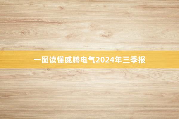 一图读懂威腾电气2024年三季报