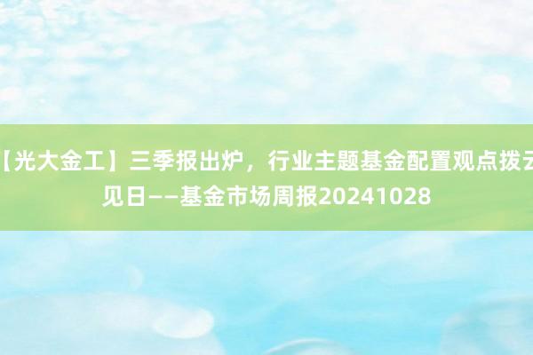 【光大金工】三季报出炉，行业主题基金配置观点拨云见日——基金市场周报20241028