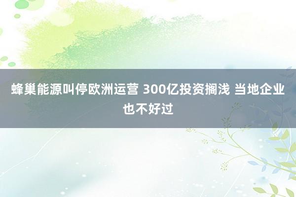 蜂巢能源叫停欧洲运营 300亿投资搁浅 当地企业也不好过