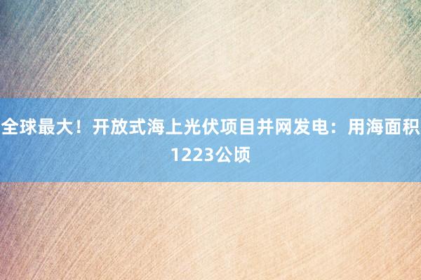 全球最大！开放式海上光伏项目并网发电：用海面积1223公顷