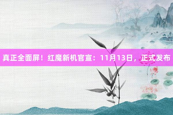 真正全面屏！红魔新机官宣：11月13日，正式发布