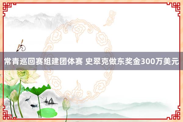 常青巡回赛组建团体赛 史翠克做东奖金300万美元