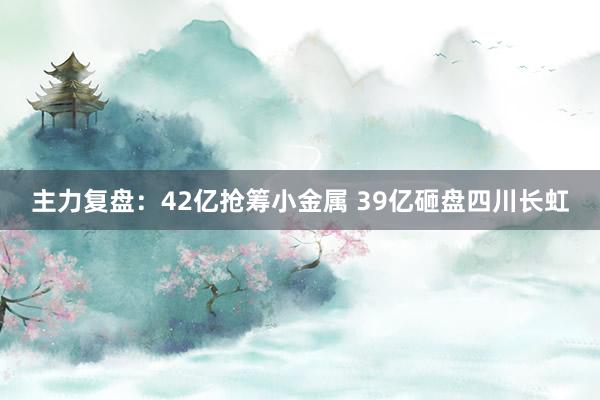 主力复盘：42亿抢筹小金属 39亿砸盘四川长虹