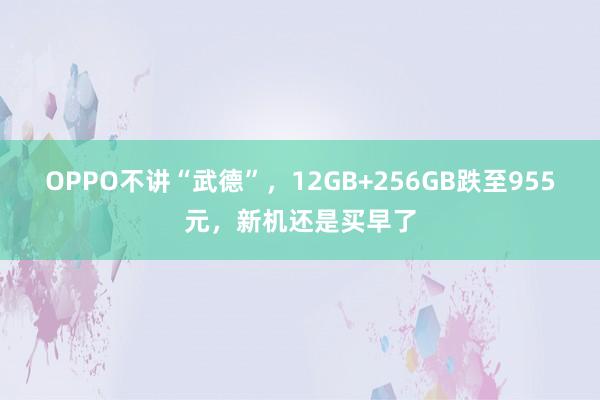 OPPO不讲“武德”，12GB+256GB跌至955元，新机还是买早了