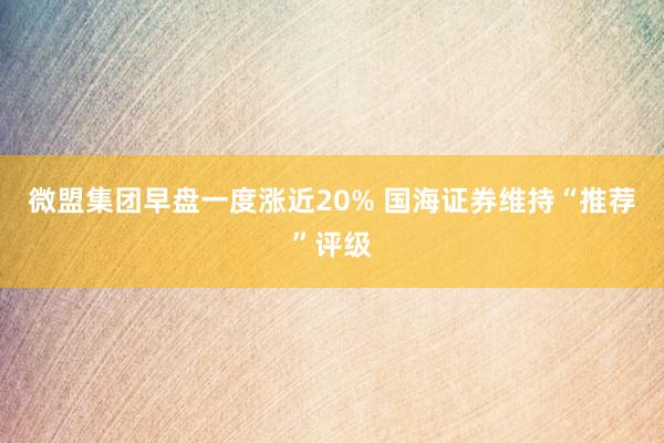 微盟集团早盘一度涨近20% 国海证券维持“推荐”评级