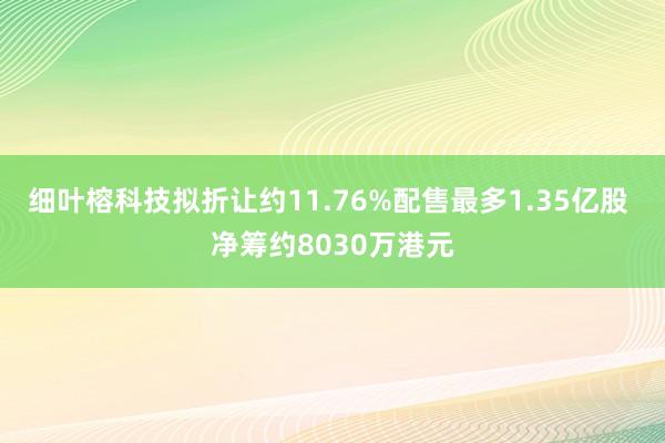 细叶榕科技拟折让约11.76%配售最多1.35亿股 净筹约8030万港元