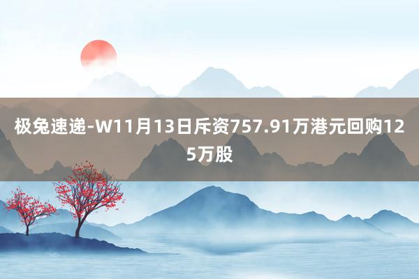 极兔速递-W11月13日斥资757.91万港元回购125万股