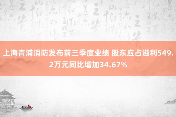 上海青浦消防发布前三季度业绩 股东应占溢利549.2万元同比增加34.67%