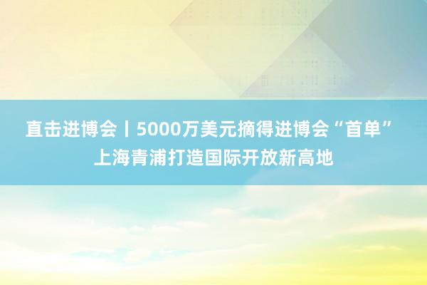 直击进博会丨5000万美元摘得进博会“首单” 上海青浦打造国际开放新高地