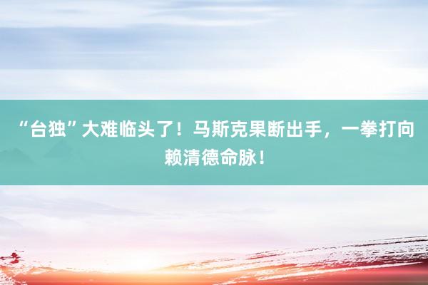 “台独”大难临头了！马斯克果断出手，一拳打向赖清德命脉！