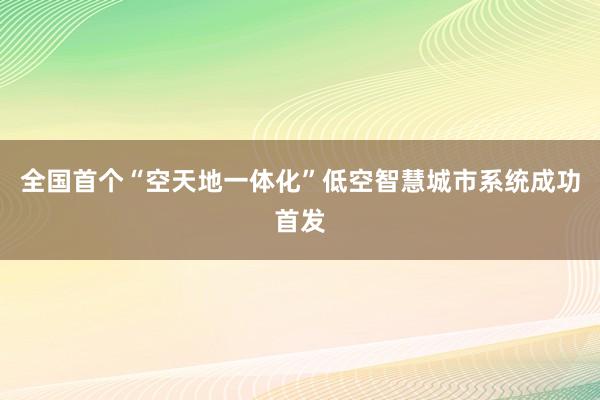 全国首个“空天地一体化”低空智慧城市系统成功首发