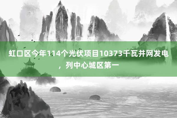 虹口区今年114个光伏项目10373千瓦并网发电，列中心城区第一