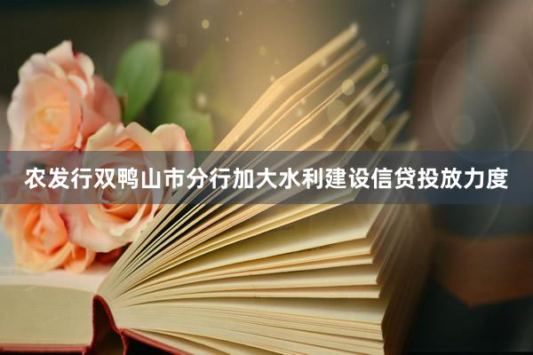 农发行双鸭山市分行加大水利建设信贷投放力度