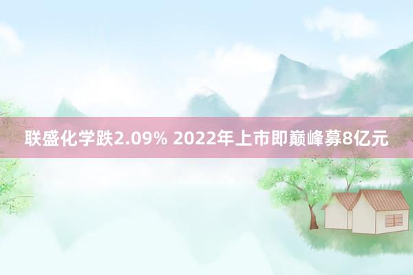 联盛化学跌2.09% 2022年上市即巅峰募8亿元