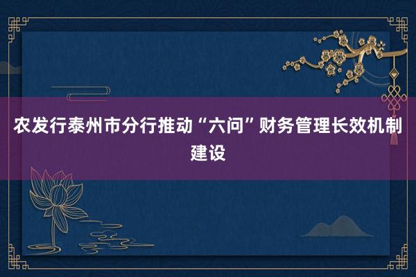 农发行泰州市分行推动“六问”财务管理长效机制建设