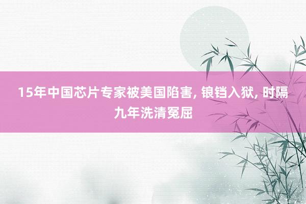 15年中国芯片专家被美国陷害, 锒铛入狱, 时隔九年洗清冤屈