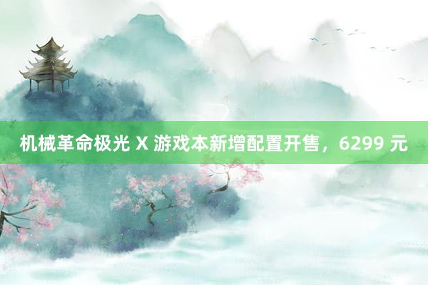 机械革命极光 X 游戏本新增配置开售，6299 元