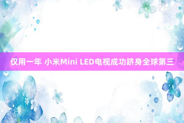 仅用一年 小米Mini LED电视成功跻身全球第三