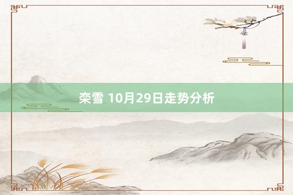 栾雪 10月29日走势分析