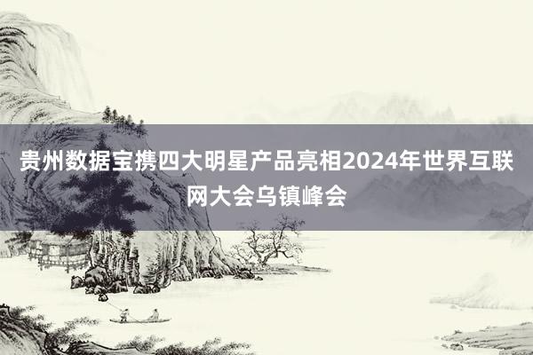 贵州数据宝携四大明星产品亮相2024年世界互联网大会乌镇峰会