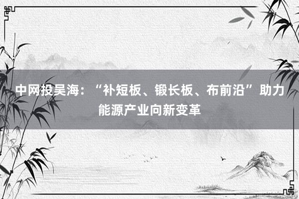 中网投吴海：“补短板、锻长板、布前沿” 助力能源产业向新变革