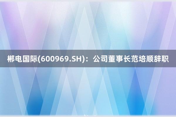 郴电国际(600969.SH)：公司董事长范培顺辞职