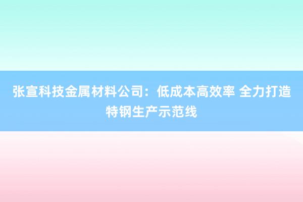 张宣科技金属材料公司：低成本高效率 全力打造特钢生产示范线