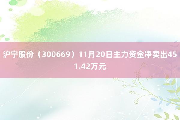 沪宁股份（300669）11月20日主力资金净卖出451.42万元