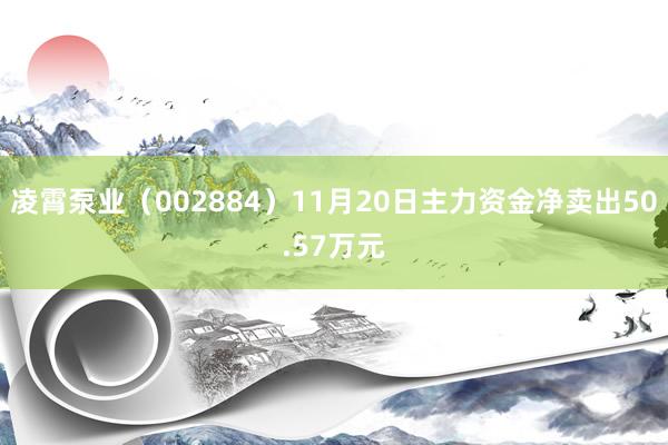 凌霄泵业（002884）11月20日主力资金净卖出50.57万元