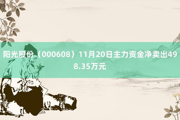 阳光股份（000608）11月20日主力资金净卖出498.35万元