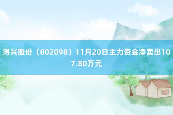 浔兴股份（002098）11月20日主力资金净卖出107.80万元