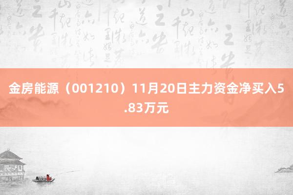 金房能源（001210）11月20日主力资金净买入5.83万元