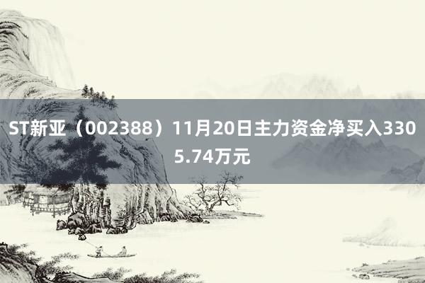 ST新亚（002388）11月20日主力资金净买入3305.74万元