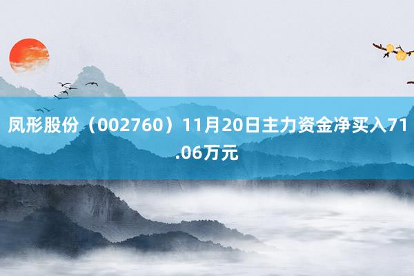 凤形股份（002760）11月20日主力资金净买入71.06万元