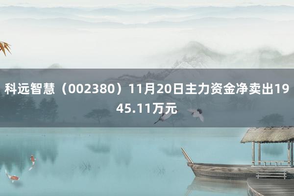 科远智慧（002380）11月20日主力资金净卖出1945.11万元