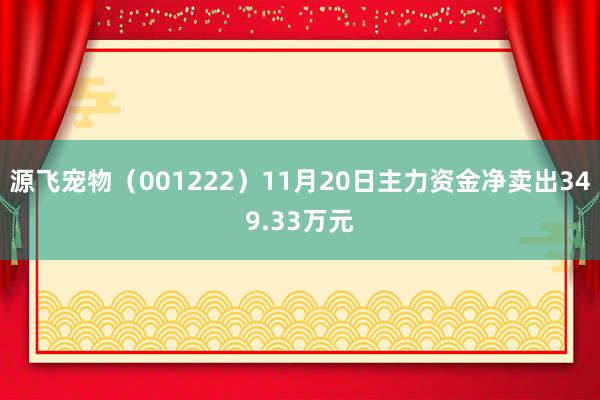 源飞宠物（001222）11月20日主力资金净卖出349.33万元