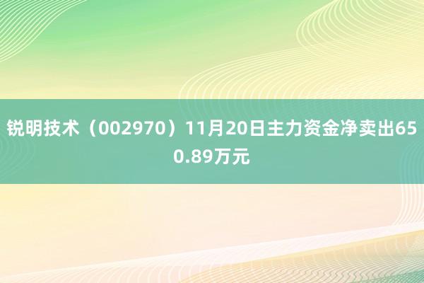 锐明技术（002970）11月20日主力资金净卖出650.89万元