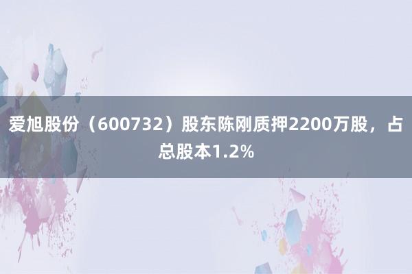 爱旭股份（600732）股东陈刚质押2200万股，占总股本1.2%