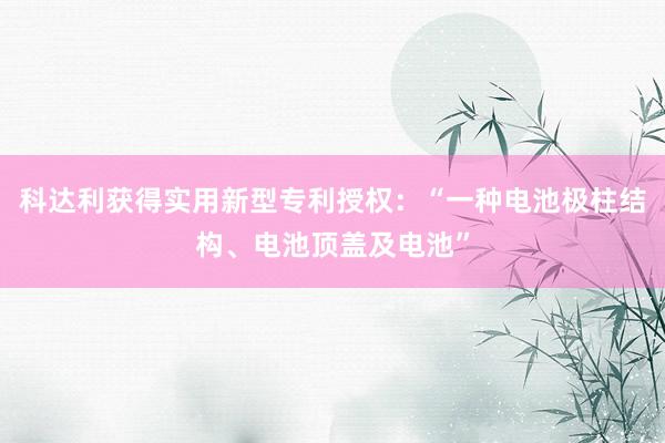 科达利获得实用新型专利授权：“一种电池极柱结构、电池顶盖及电池”